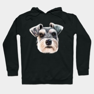 The Miniature Schnauzer Hoodie